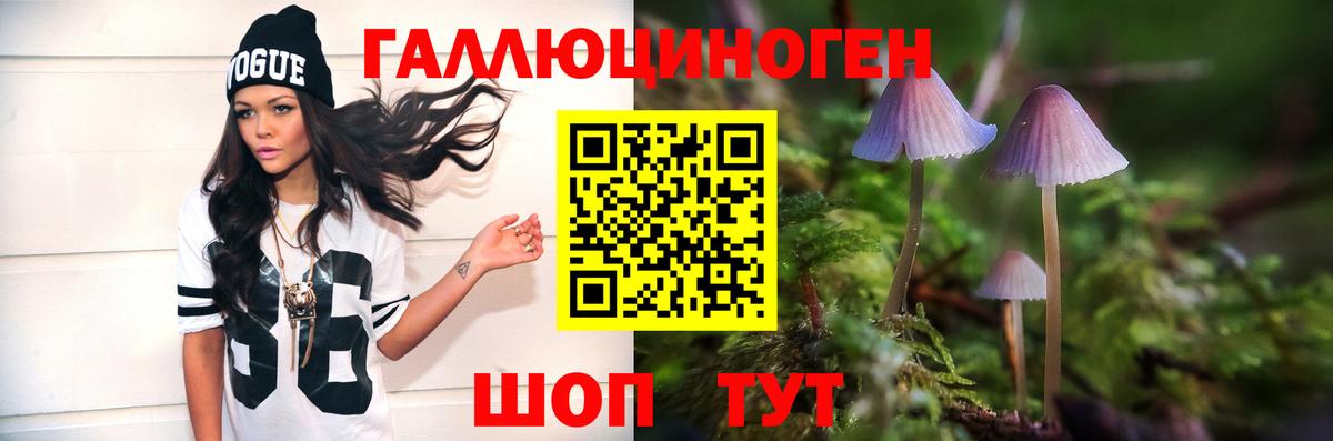 Псилоцибиновые грибы прущие грибы  Вход с VPN  Янаул 